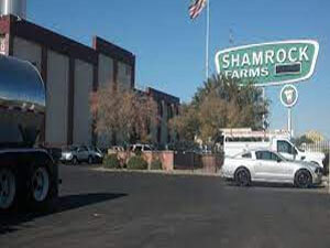 shamrock-foods-company-headquarters-2